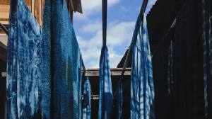 Safidy lamba tsara indrindra ho an'ny fisondrotry ny indigo tsara indrindra